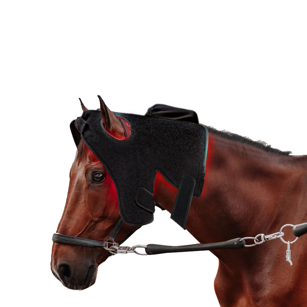 Red light therapy product for pets horse head & neck1